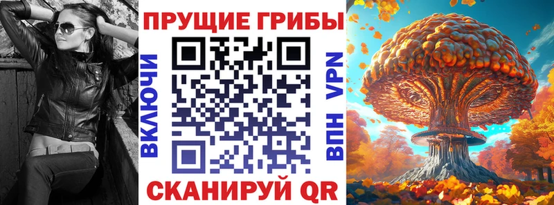 мориарти официальный сайт Белебей Псилоцибиновые грибы мухоморы